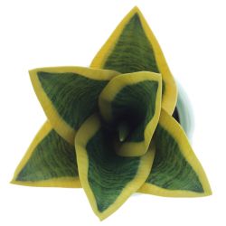 GAEM Цветочная композиция "Сансевиерия", L9 W9 H17 см