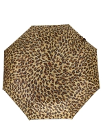 Зонт