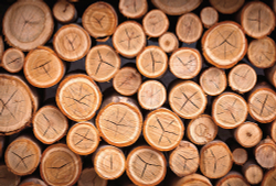 Коллекция Текстуры и фактуры