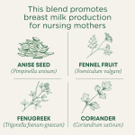 Traditional Medicinals, Organic Mother's Milk®, оригинальный продукт с фенхелем и пажитником, без кофеина, 16 чайных пакетиков в упаковке, 28 г (0,99 унции)