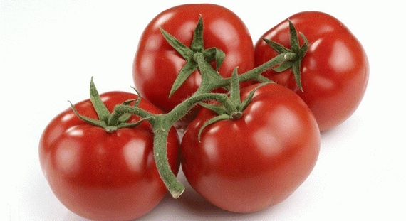 КОРВИНУС F1 семена томата Seminis цена – фото 2