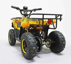 Электроквадроцикл Green Camel Гоби K45 (36V 800W R6 Цепь) быстросъем, ножной тормоз