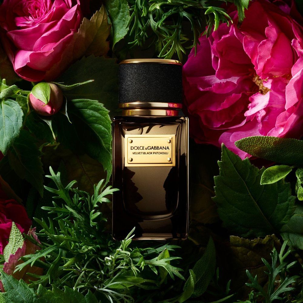 Dolce and Gabbana Velvet Black Patchouli