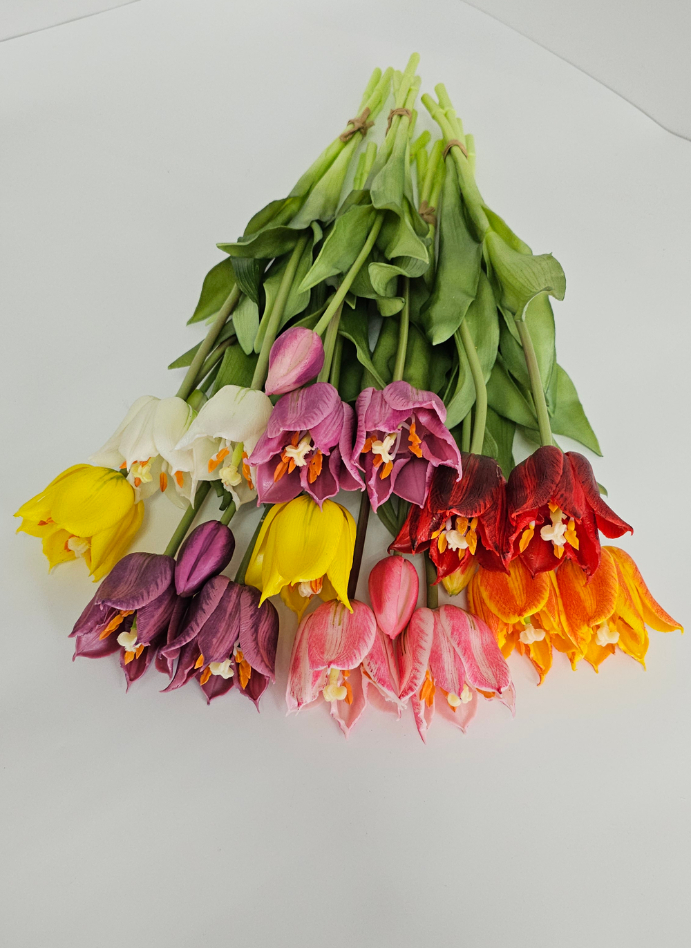 Тюльпаны лилиецветные / Арт 2523