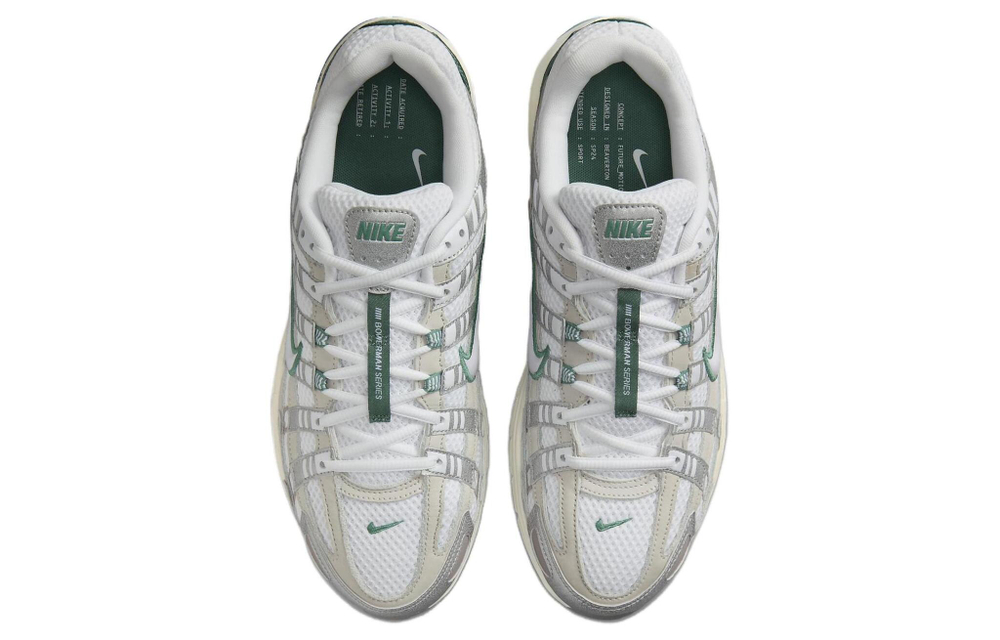 Кроссовки Nike P-6000 Premium