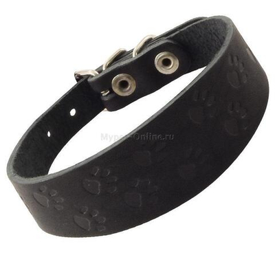 Ошейник-мини одинарный c тиснением кожаный "Узор", 35*360мм, Gamma