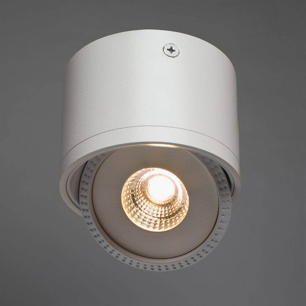 Накладной светильник Arte Lamp A4105PL-1WH