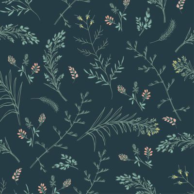 Луговые травы и клевер на темном