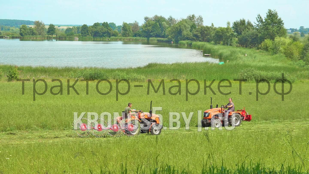 Грабли-сеноворошилки D-Pol | Д-пол ГВН-4