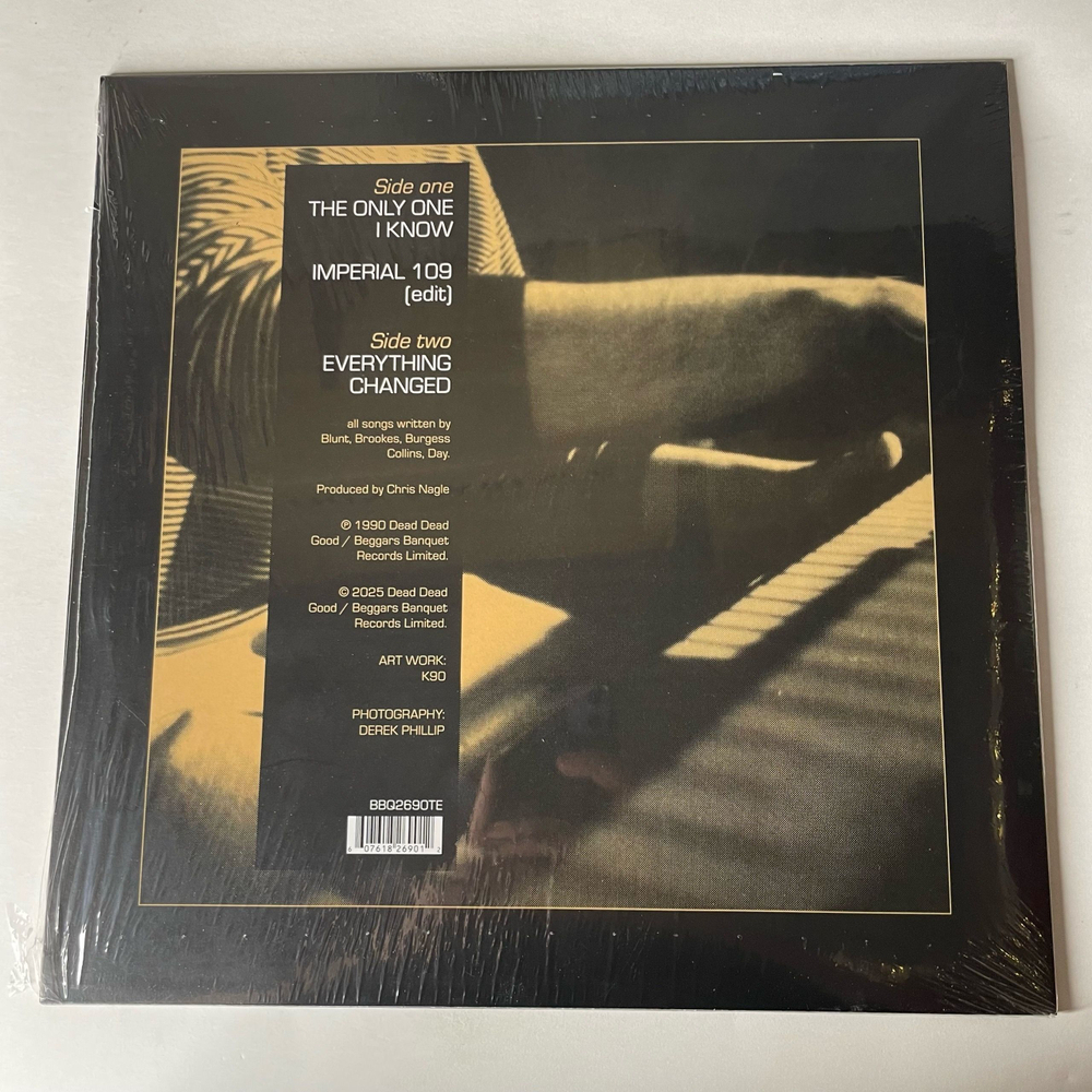 Виниловая пластинка LP The Charlatans The Only One I Know (Европейский Союз 2025) (Maxi Single Picture Disc)