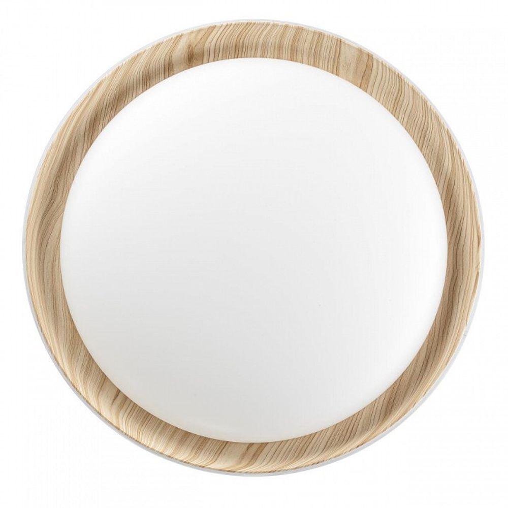 Накладной светильник Citilux MEGA CL752452G