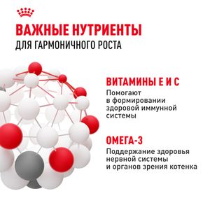 Пауч Royal Canin Kitten Gravy для котят в период второй фазы роста в возрасте до 12 месяцев, кусочки в соусе
