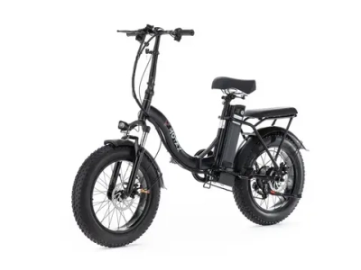 Электровелосипед MOTAX E-NOT BIG BOY 3 48V12A