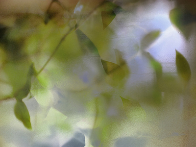 Дизайнерские обои Wall Street GreenDay-21