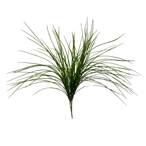 Осока куст 50 см.