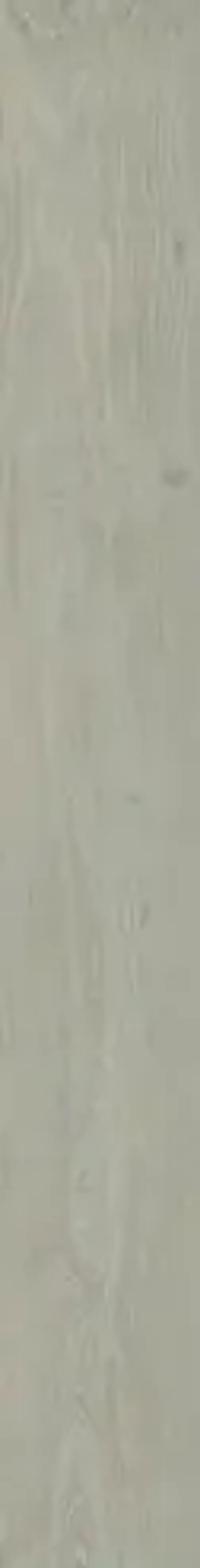 WONDEFUL LIFE ASH (ВАНДЕФУЛ ЛАЙФ АШ) 1600*200 керамогранит, натуральный