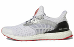 Кроссовки Adidas Ultraboost Climacool 2