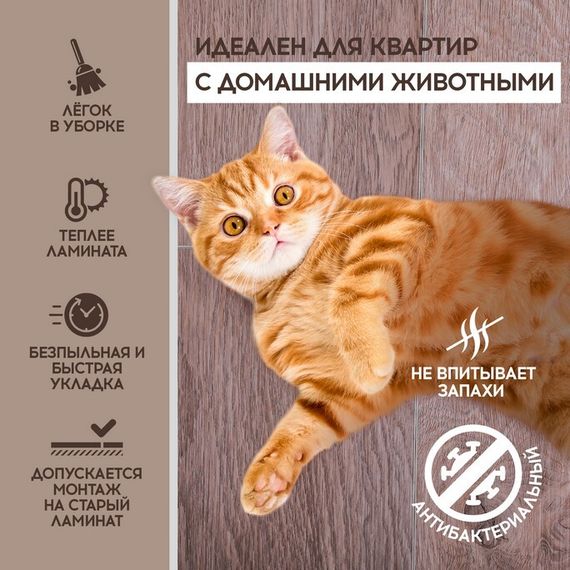 SPC ламинат I-Floors Chamfer 4v - Дуб Онтарио