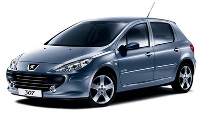 Автоковрики для PEUGEOT 307