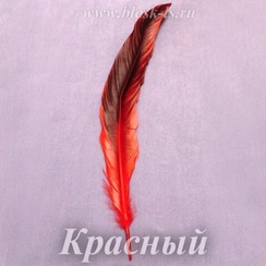Перо петуха 25-30 см, Красный
