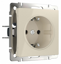 Розетка Werkel W1171003