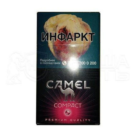 Camel
