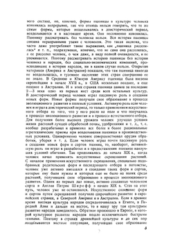 Пшеницы | Фляксбергер Константин Андреевич