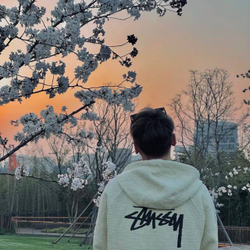 Nike x Stussy NRG Pullover Hoodie Natural