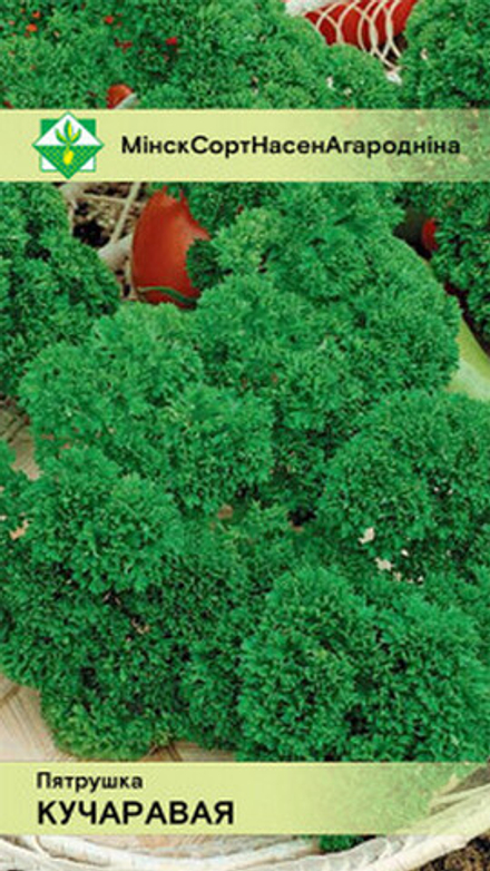 Петрушка "Курчавая" 2г, Германия.