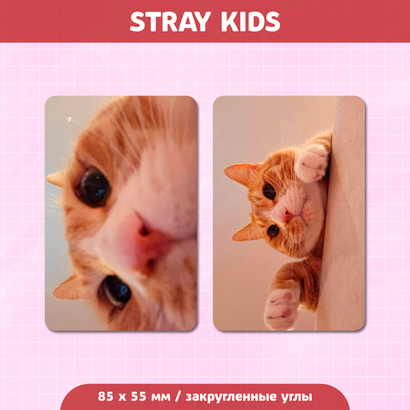 Сет карточек / STRAY KIDS #267 Lee Know