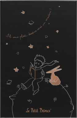 Блокнот Moleskine Petit Prince (LEPP04QP060BOX) 3