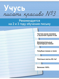Набор тетрадей "Учусь писать красиво!", 12 л, 10 шт