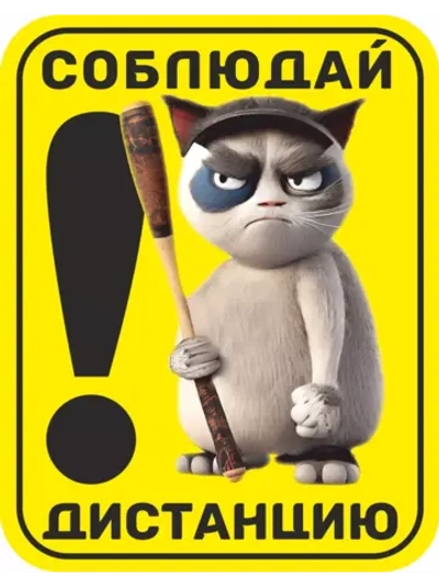 Соблюдай дистанцию наклейка на авто с котом