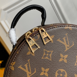 Louis Vuitton Palm Springs PM