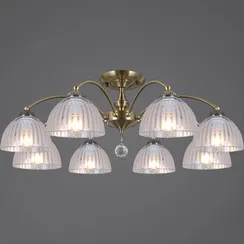 IL0564-8CSQ-25AB ELITE светильник потолочный