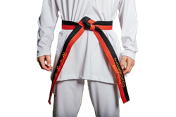 Пояс для тхэквондо ProfSport Премиум с вышивкой черно-красный