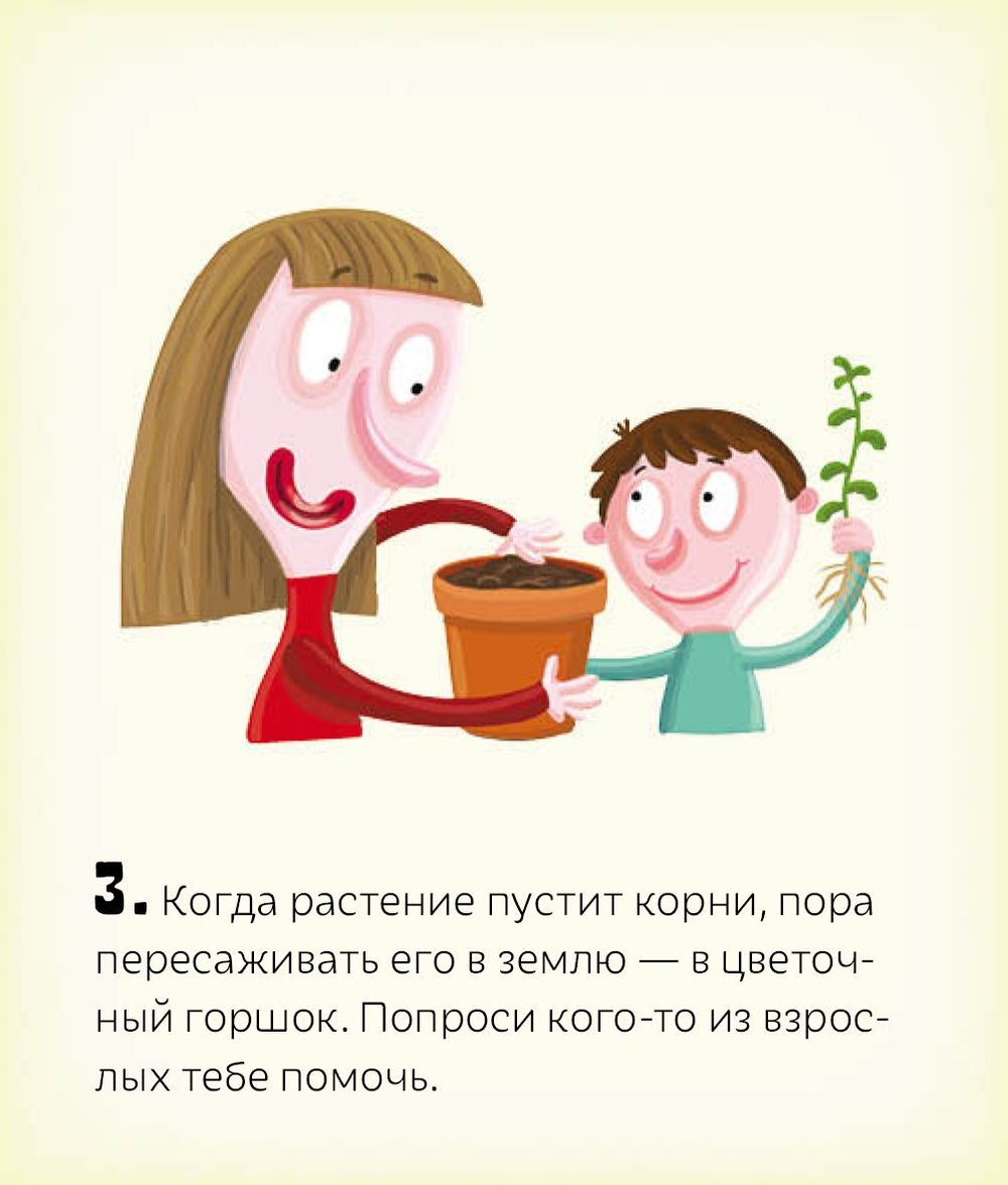 Сад круглый год