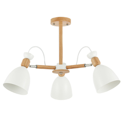 Светильник потолочный Evoluce Balcamo SLE103802-03