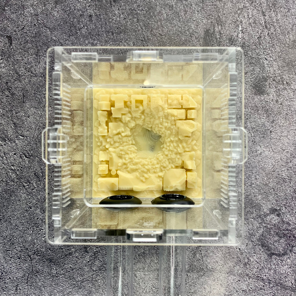 Арена для муравьев, мини формикарий с инсталляцией