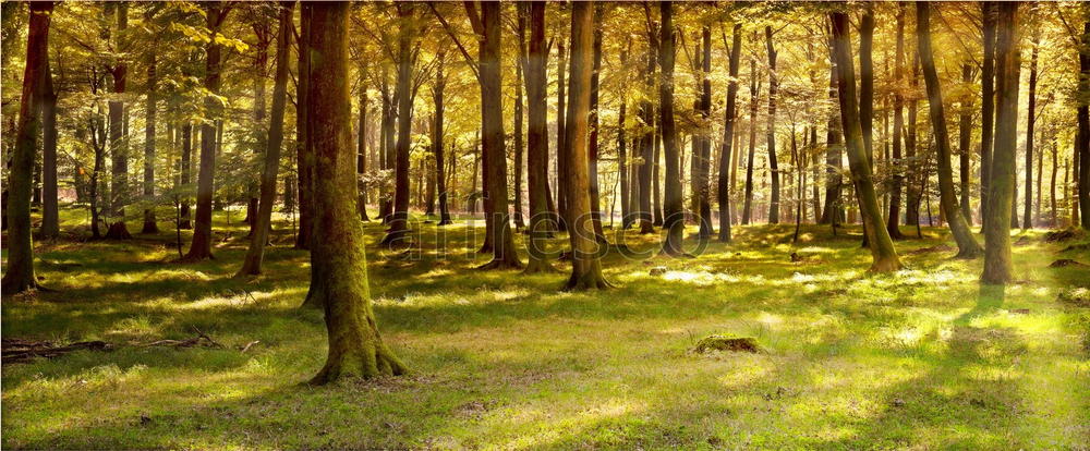 Фреска арт. ID10860