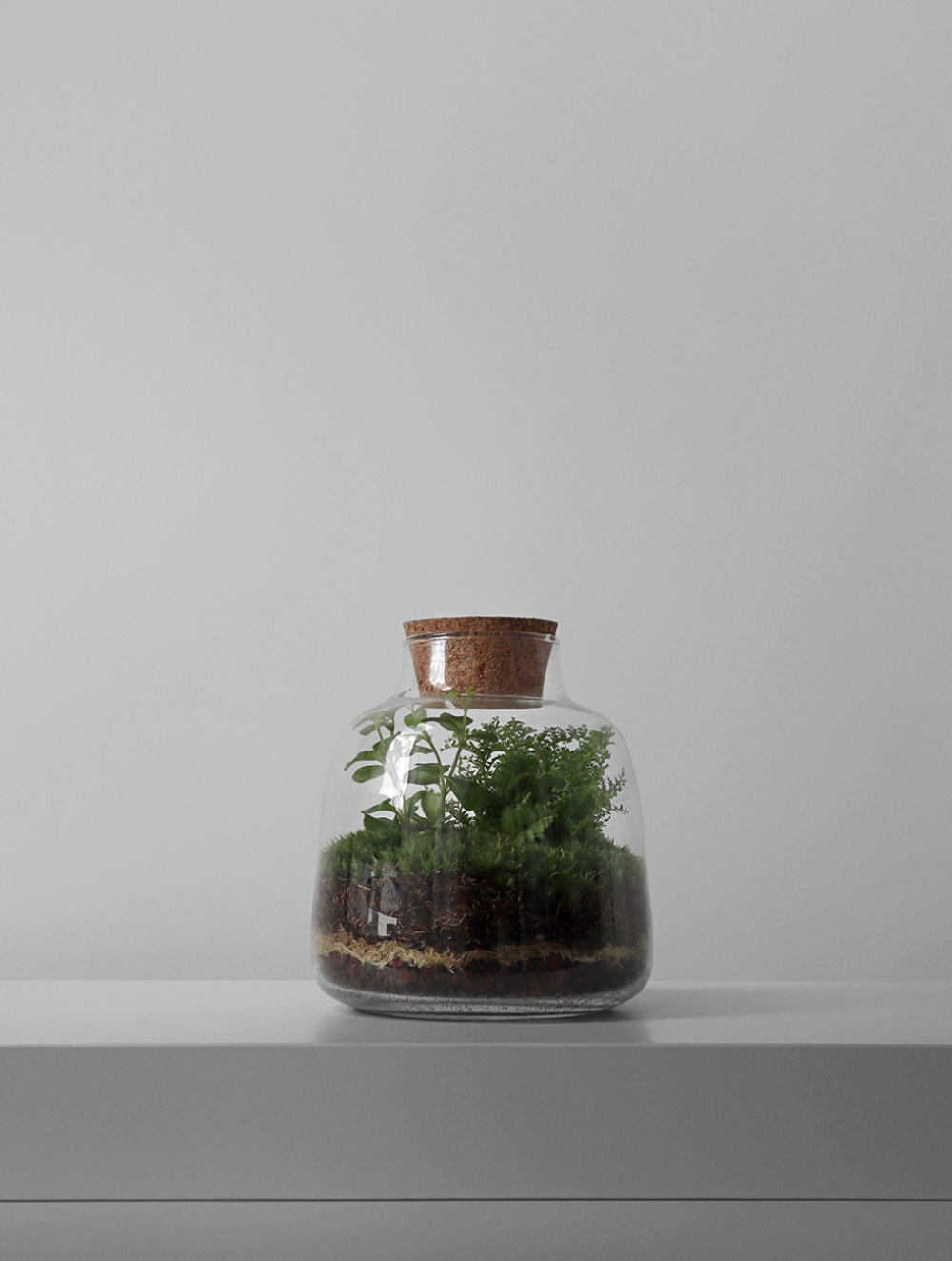 Экосистема Vase