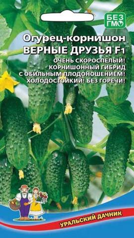 Огурец "G. Верные друзья F1" 10шт., Россия.