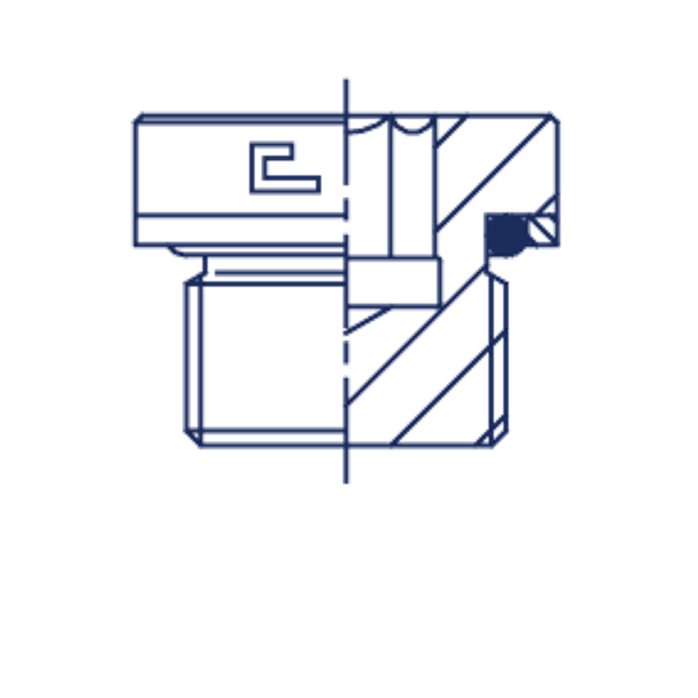 Заглушка V (Ш) BSP1.1/4"