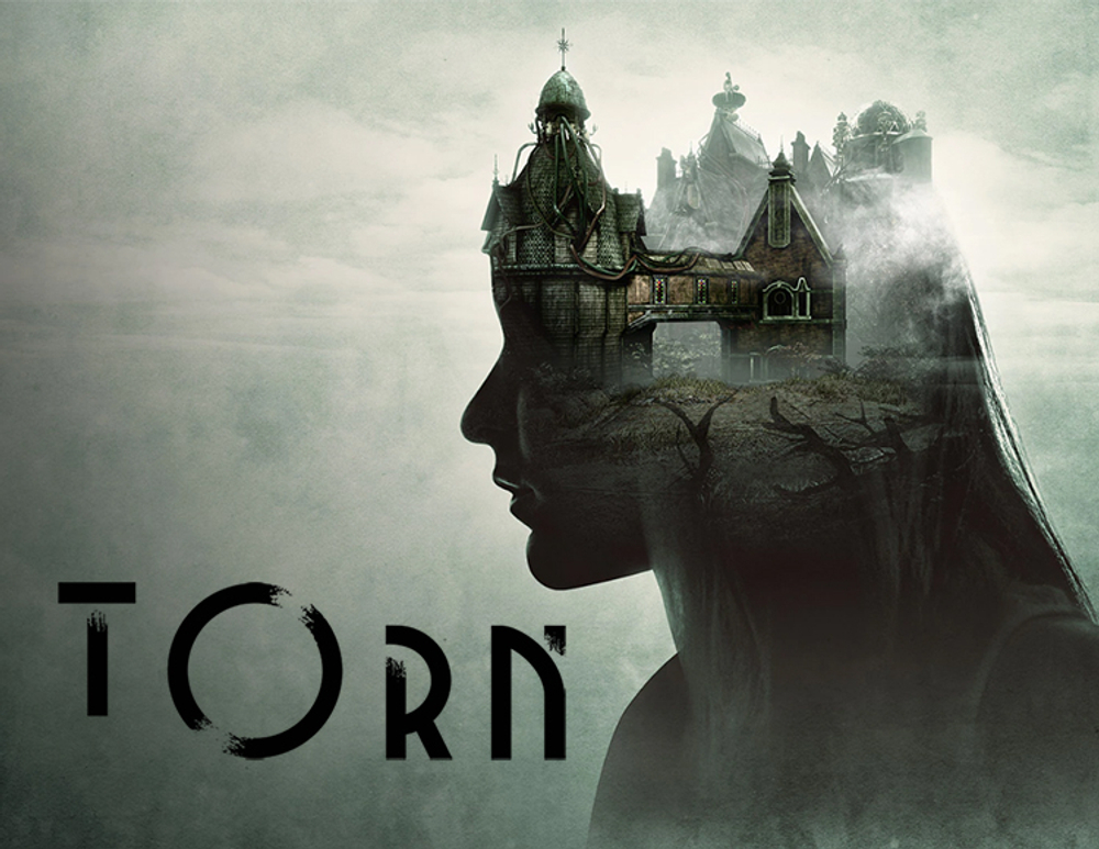 Torn (для ПК, цифровой код доступа)