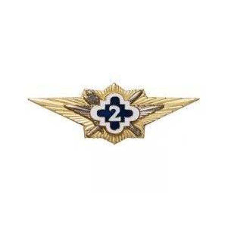 Значок Классность ФСИН 2