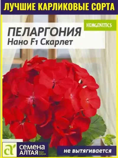 Семена пеларгонии Нано F1 Скарлет 3 шт