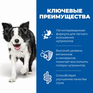 Ветеринарный корм для собак Hill`s Prescription Diet i/d Digestive Care, при расстройствах пищеварения, с курицей