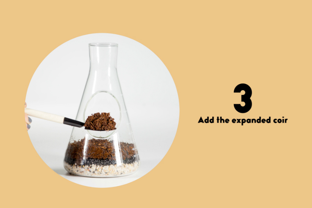 Террариум chemistry