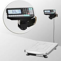 Весы с печатью этикеток МАССА-К ТВ-S-32.2-RP1