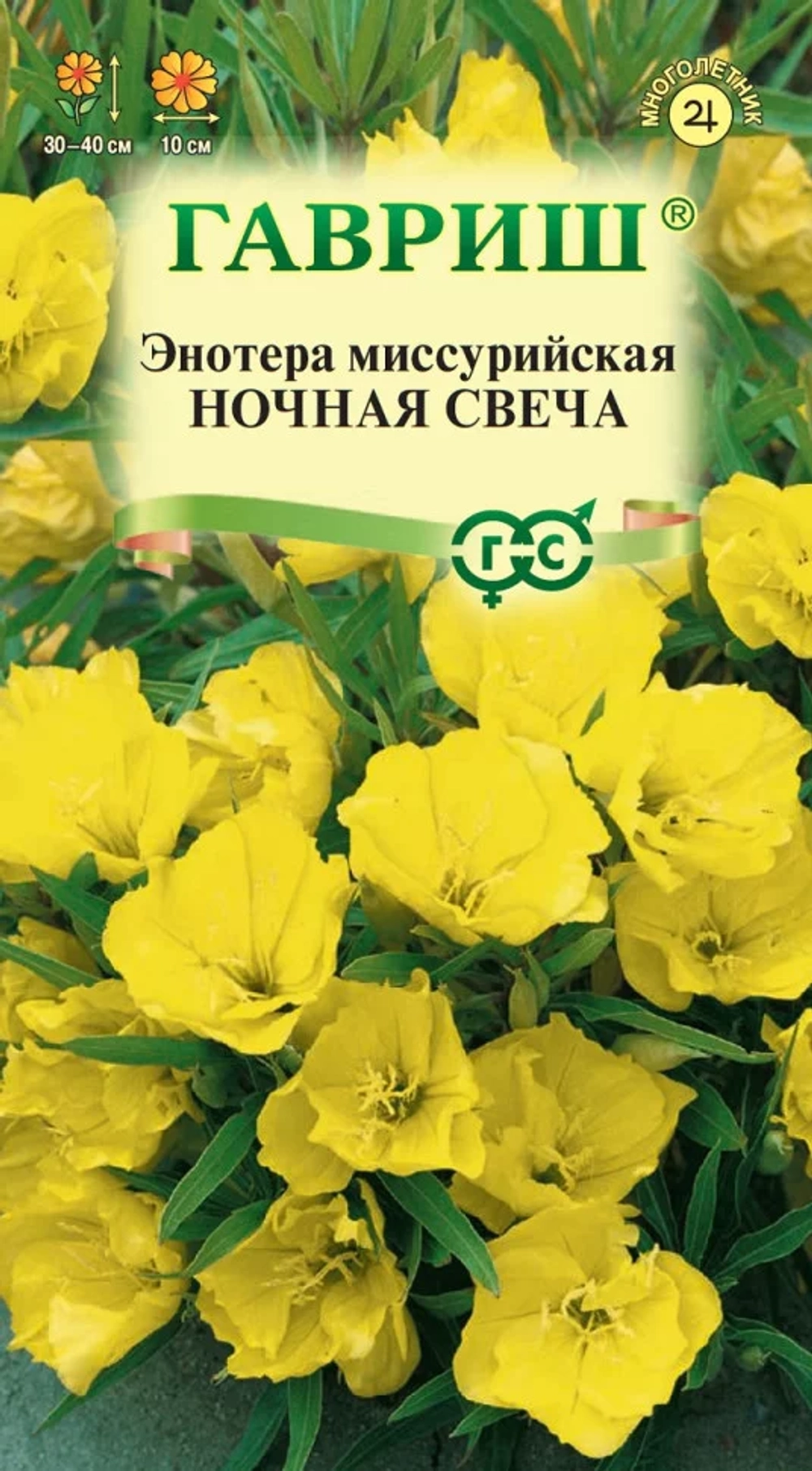 Энотера Ночная свеча, 0,2г, Гавриш